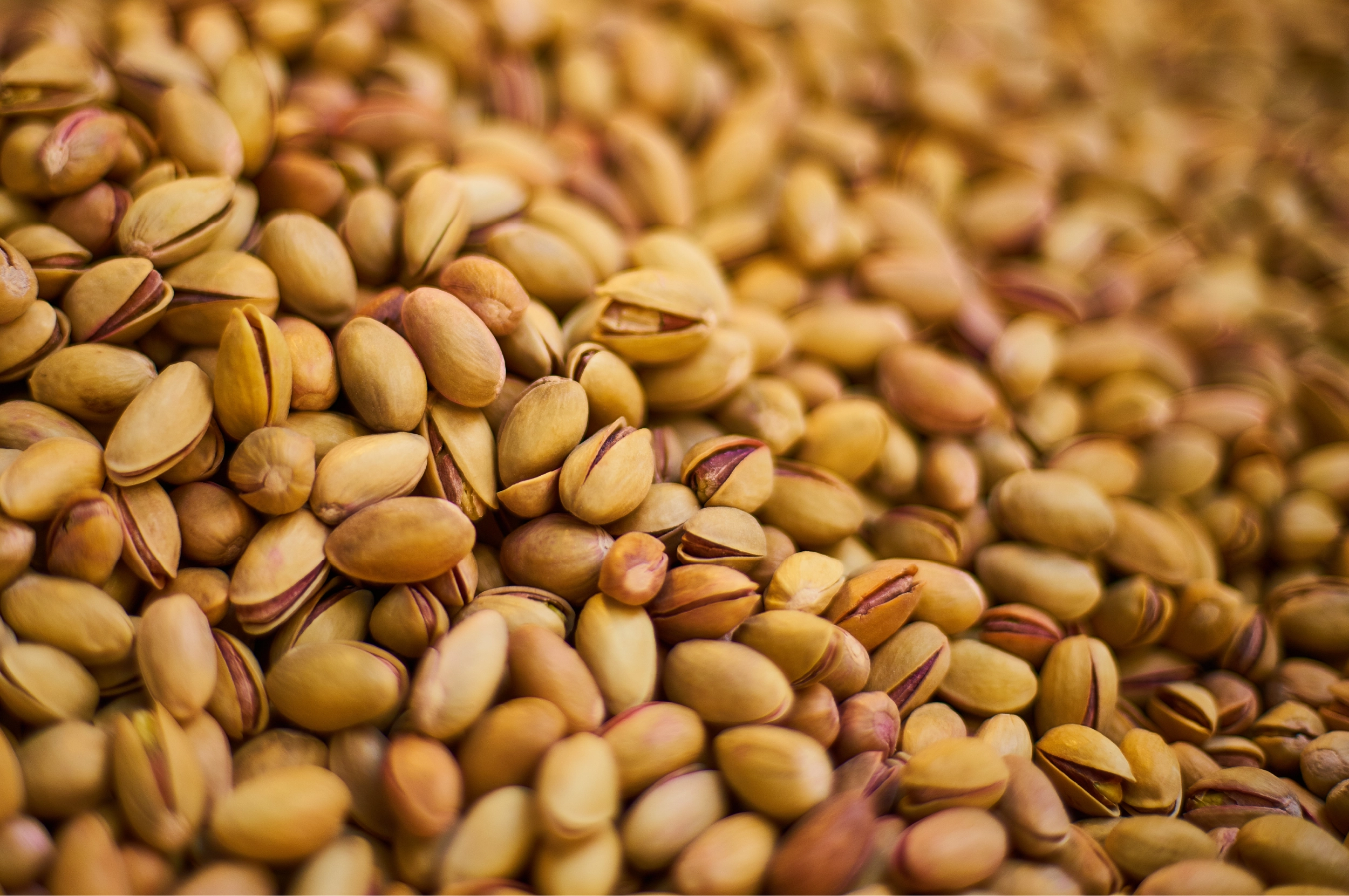 pistachio post01